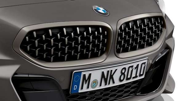 BMW Niere in Mesh-Design